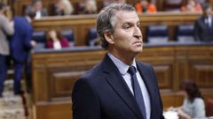 El presidente del Partido Popular, Alberto Nez Feijoo.