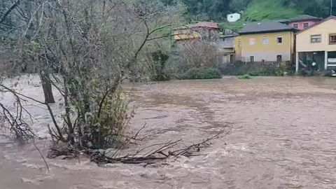 Estado del río en Belmonte de Miranda