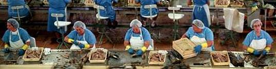 El sector de la pesca -en la imagen de archivo, la desparecida Alfageme- ha sido un exponente de la discriminaci�n. 