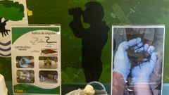 Responsables de la Guardia Civil, de la Europol y de las polic�as francesa y portuguesa presentan en San Sebasti�n los resultados de una operaci�n internacional contra el tr�fico de angulas