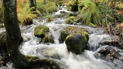 La ruta dos Mu��os do Mera, un pulm�n al lado de Lugo