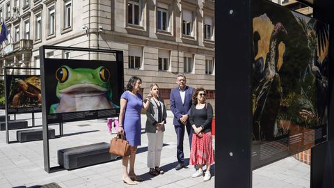 Inauguracin de la exposicin de Afundacin