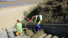 Acondicionamiento de la playa de Ber 