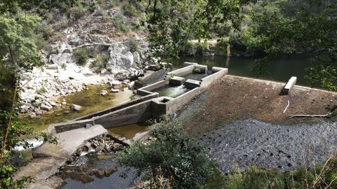Caudal actual del r�o L�rez, a la altura de la estaci�n de bombeo de Monte Porreiro, en Pontevedra