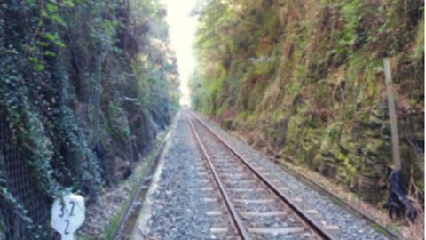 Lluvia y viento provocan desprendimientos sobre la va a menudo