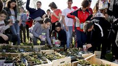 Los m�s j�venes reforestan Chandebrito