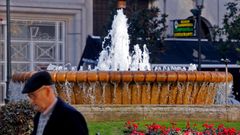 Fuente de la Alameda viguesa
