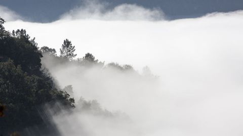 VISTA DE LA  NIEBLA QUE CUBRE EL CAё�N DEL SIL DESDE EL MIRADOR DE A CIVIDADE, EN SOBER