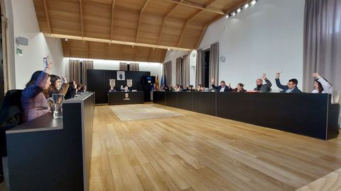 Aprobaci�n por unanimidad de una de las mociones del pleno de Pontevedra