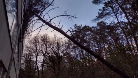 Los bomberos de Boiro colaboraron en la retirada de un rbol que cay sobre la parte trasera de una nave comercial en Cimadevila