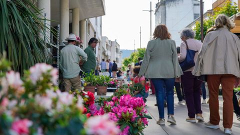 Feira de Cultivos do Baixo Mi�o en su edici�n del 2023
