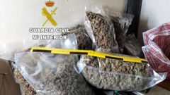 Parte de la plantaci�n incautada por la Guardia Civil en un registro en Abegondo