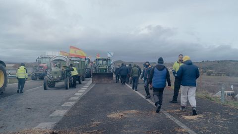 Manifestaci�n de ganaderos y agricultores con tractores en la autov�a A-52 en A Limia.