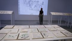 A mostra incl�e proxecci�ns e 66 cadernos que recollen o proceso de traballo de Pepe Barro.