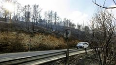 Las llamas calcinan el monte de Valencia