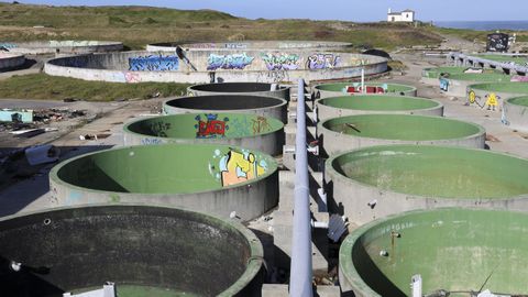 De centro pionero (en 2018 eran los �nicos productores mundiales de besugo), que colaboraba con el Instituto Espa�ol de Oceanograf�a, a la ruina. Ese es el camino que ha recorrido la planta de cultivos marinos Norafish, construida a finales de los a�os 80 y adquirida en 1999 por la empresa Luso Hispania de Acuicultura S. L., que forma parte del grupo coru��s Isidro de la Cal