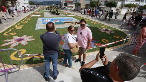 Alfombras flores de Ares