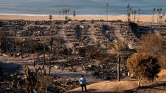 Aumentan a 24 los muertos por los incendios forestales en Los ngeles