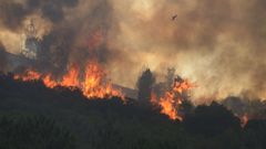 Incendio forestal en Ribas de Sil