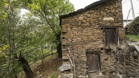 Un antiguo sequeiro de casta�as