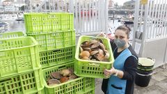 Isabel Maro�o, patrona mayor de la cofrad�a de Ferrol