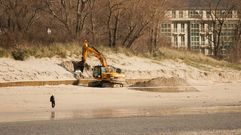 A Magdalena (Cedeira). Ajustes de la empalizada de madera. Costas recoloc� en marzo la estructura montada para frenar la erosi�n en el arenal, da�ada por los embates del mar del �ltimo invierno.