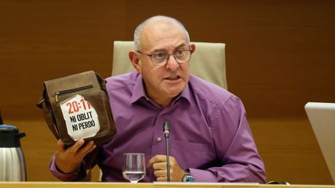 Ernesto Miguel Martnez Alfaro durante una comparecencia en el Congreso de los Diputados ante la comisin de investigacin sobre la gestin de la crisis derivada de la dana.