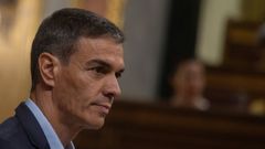 El presidente del Gobierno, Pedro S�nchez, en una sesi�n plenaria del Congreso el pasado 24 de junio.