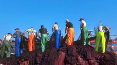 Varios trabajadores preparan los aparejos de pesca en Portugal.