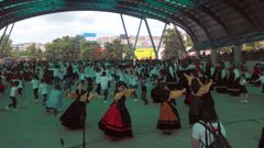 D�a da Mui�eira en Arteixo