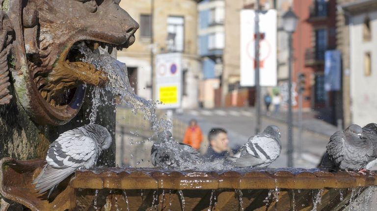 Fuente del Rey Pelayo, en Gij�n