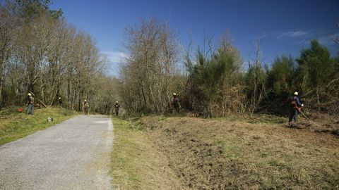 En este monte de Baos de Molgas, que ardi en el ao 2017, una cuadrilla de la BRIF de Laza realiza labores de desbroce para ampliar la zona de control en caso de incendio.