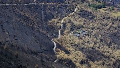 Da�os por el incendio del pasado verano en el souto de la aldea de Viar
