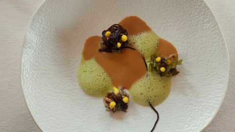Una de las creaciones que Gil Fernandes realiza con las algas que �l mismo recolecta.