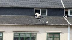 La perra, en el tejado del tico de la calle Juan Fuentes, en Caldas de Reis