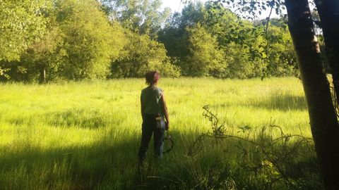 Entorno en el que se pretende instalar el parque e�lico de Pena do Corvo