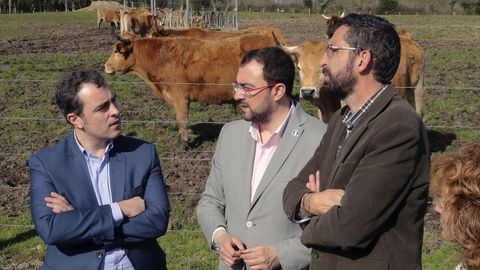 El presidente del Principado de Asturias, Adri�n Barb�n (c), y el presidente de Alimerka, Alejandro Fern�ndez (i), durante su visita al cebadero de la ganader�a Finca Casona La Lloraza en Oles, concejo de Villaviciosa