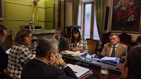 La concejala de Econom�a del Ayuntamiento de Oviedo, Leticia Gonz�lez, interviene en el pleno de aprobaci�n inicial de las ordenanzas fiscales para 2027