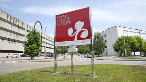 El grado en Enfermería es uno de los doce que se ofertan en el campus de Pontevedra