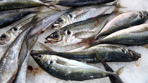 Jureles frescos, en una pescader�a gallega.
