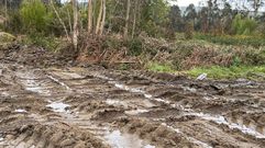 La ordenanza busca compatibilizar activdad forestal y conservaci�n de viales