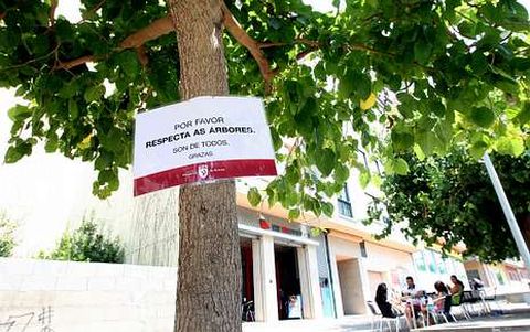 Los carteles, plastificados, cuelgan desde hace unos d�as de las moreras de Os Dur�ns.