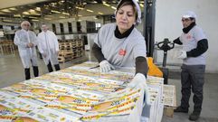 Vicusgraf, a pleno rendimiento