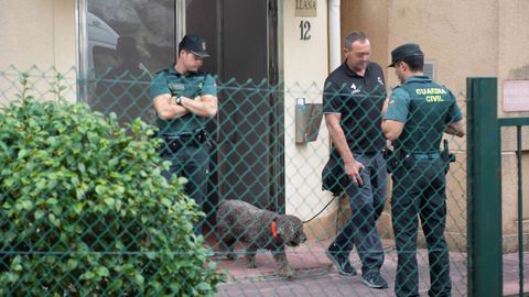 Marley, durante la investigacin en Castro Urdiales