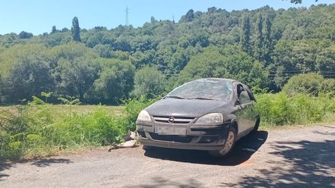 El accidente tuvo lugar en la r�a Cami�o Franc�s, por donde transcurre la citada ruta xacobea
