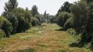 Cauce del ro Limia a su paso por Xinzo, sin agua a causa de la sequa.