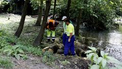 Los trabajos de limpieza del r�o comenzaron hoy en Vilamart�n