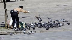 Imagen de archivo de una mujer dando de comer a palomas en la plaza de A Ferrera, en Pontevedra