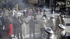 Varios cientos de ganaderos y agricultores se han concentrado este viernes en el Paseo de Los �lamos de Oviedo 