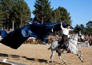 Adem�s del concurso morfol�gico hubo otros espect�culos ecuestres.
